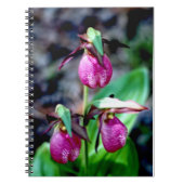 Lady Slipper I, roze groene tuin Notitieboek (Voorkant)