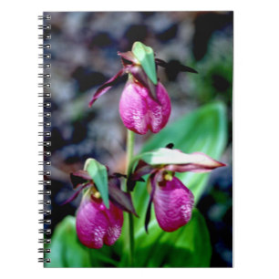 Lady Slipper I, roze groene tuin Notitieboek