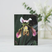 Lady Slipper Orchid Briefkaart (Staand voorkant)