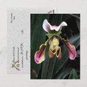 Lady Slipper Orchid Briefkaart (Voorkant / Achterkant)