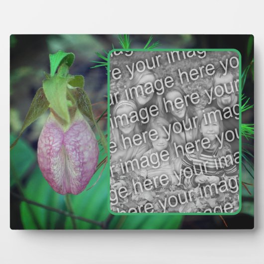 Lady Slipper Orchid Creëer Uw eigen foto Fotoplaat (Voorkant)