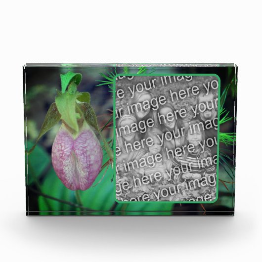 Lady Slipper Orchid Creëer Uw Eigen Fotoblokken (Voorkant)