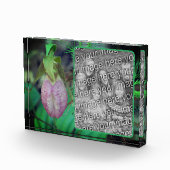 Lady Slipper Orchid Creëer Uw Eigen Fotoblokken (Rechts)