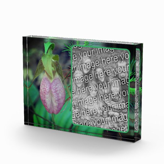Lady Slipper Orchid Creëer Uw Eigen Fotoblokken (Rechts)