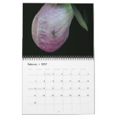 Lady Slipper Orchid Flowers Kalender (Feb 2027)