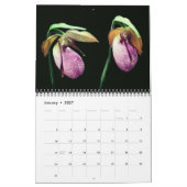 Lady Slipper Orchid Flowers Kalender (Jan 2027)