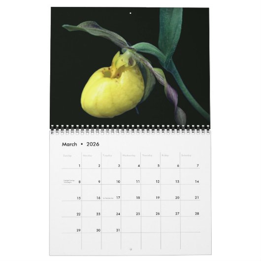 Lady Slipper Orchid Flowers Kalender (Mar 2026)