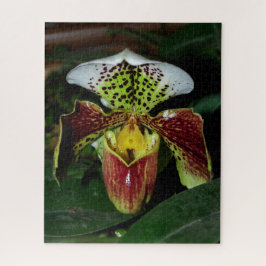 Lady Slipper Orchid Jigzaag Puzzle Legpuzzel