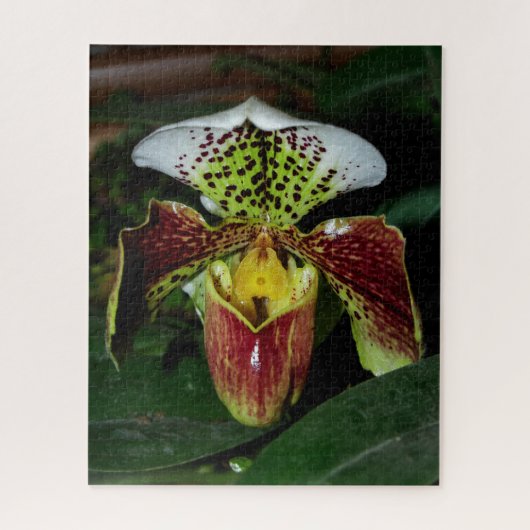 Lady Slipper Orchid Jigzaag Puzzle Legpuzzel (Verticaal)