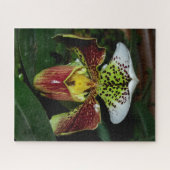 Lady Slipper Orchid Jigzaag Puzzle Legpuzzel (Horizontaal)