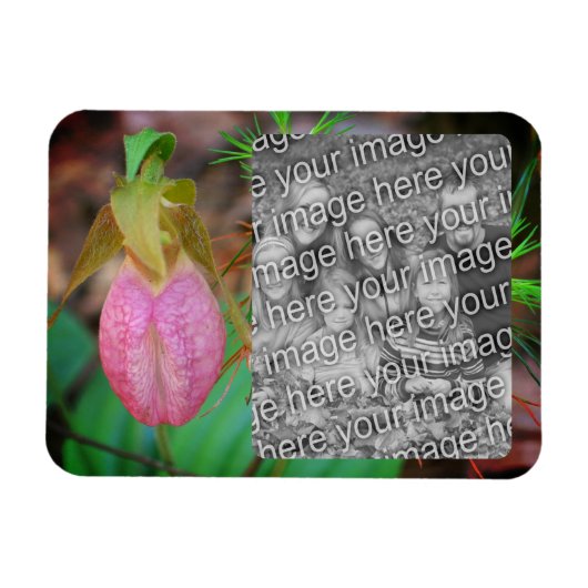 Lady Slipper Orchid Lijst Uw foto toevoegen Magneet (Horizontaal)