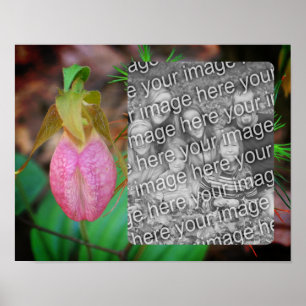 Lady Slipper Orchid Lijst Uw foto toevoegen Poster