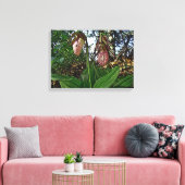Lady Slipper Orchid Wildflower Canvas Afdruk (Insitu (Woonkamer))