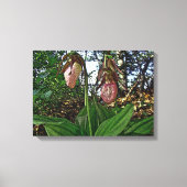 Lady Slipper Orchid Wildflower Canvas Afdruk (Voorkant)