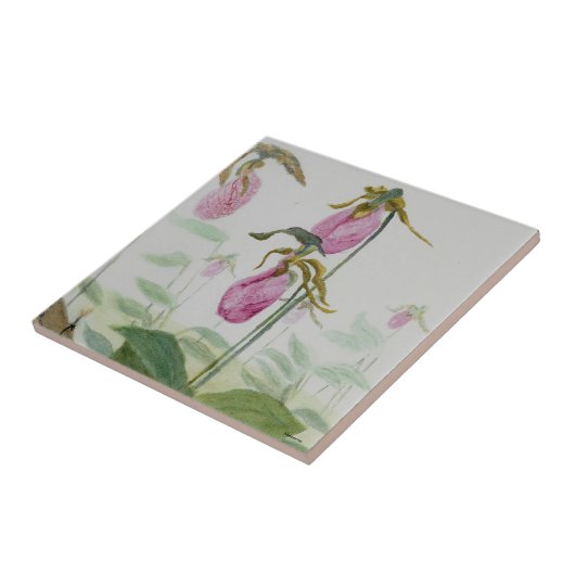 Lady Slipper Trivit Tegeltje (Zijkant)