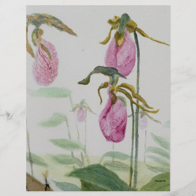 Lady Slippers (Voorkant)