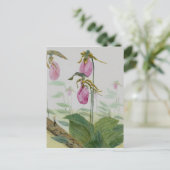 Lady Slippers Briefkaart (Staand voorkant)