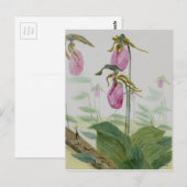 Lady Slippers Briefkaart (Voorkant / Achterkant)