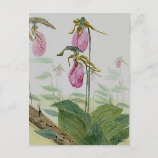 Lady Slippers Briefkaart (Voorkant)