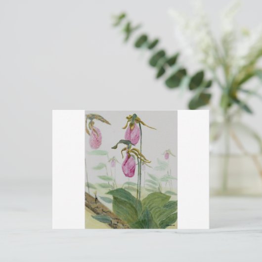 Lady Slippers Briefkaart (Staand voorkant)