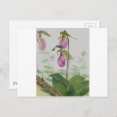 Lady Slippers Briefkaart (Voorkant / Achterkant)