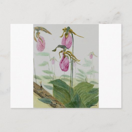 Lady Slippers Briefkaart (Voorkant)