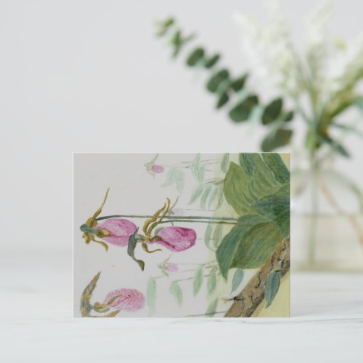Lady Slippers-Briefkaart Briefkaart (Staand voorkant)