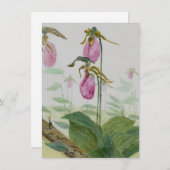 Lady Slippers-flatkaart (Voorkant / Achterkant)