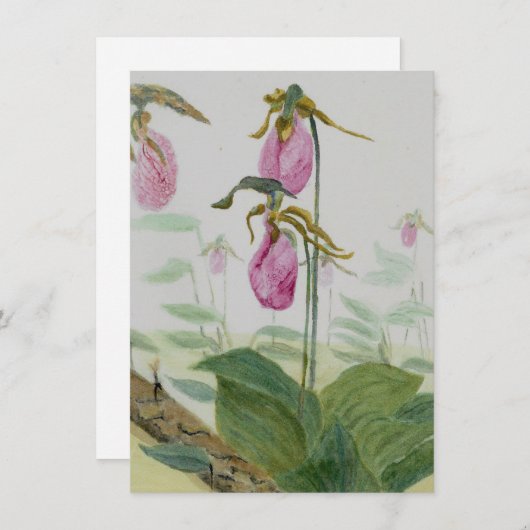 Lady Slippers-flatkaart (Voorkant / Achterkant)
