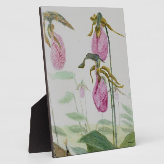 Lady Slippers Fotoplaat (Zijkant)