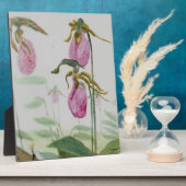 Lady Slippers Fotoplaat (Zijkant)