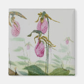 Lady Slippers Magnet (Voorkant)
