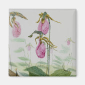 Lady Slippers Magnet (Voorkant)