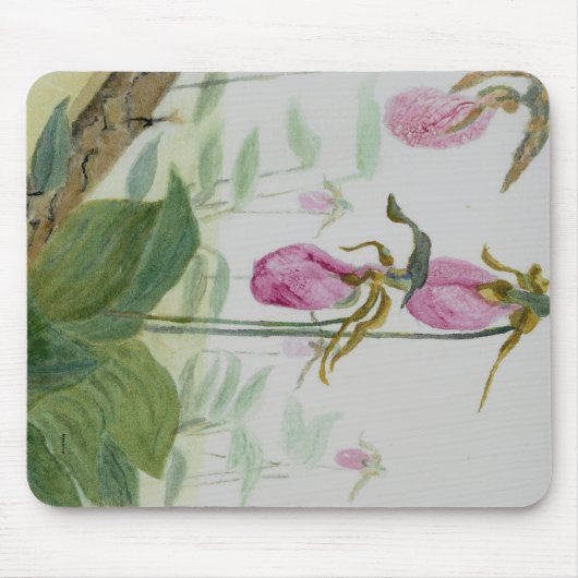 Lady Slippers Muismat (Voorkant)