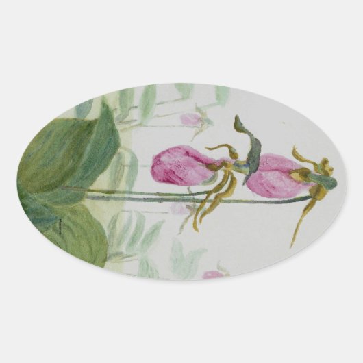 Lady Slippers Ovale Sticker (Voorkant)