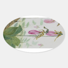 Lady Slippers Ovale Sticker