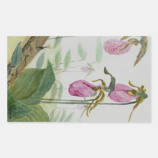 Lady Slippers Rechthoekige Sticker (Voorkant)
