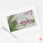 Lady Slippers Rechthoekige Sticker (Envelop)