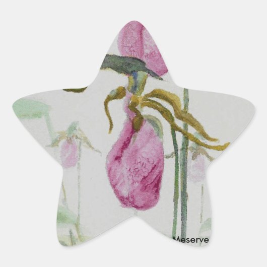Lady Slippers Ster Sticker (Voorkant)