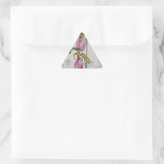 Lady Slippers Sticker (Tas)