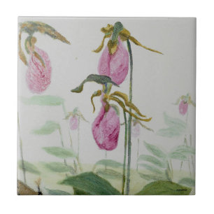 Lady Slippers Tegeltje