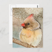 Lady Winter Cardinaal Briefkaart (Voorkant / Achterkant)