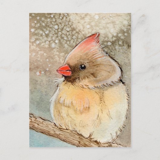 Lady Winter Cardinaal Briefkaart (Voorkant)