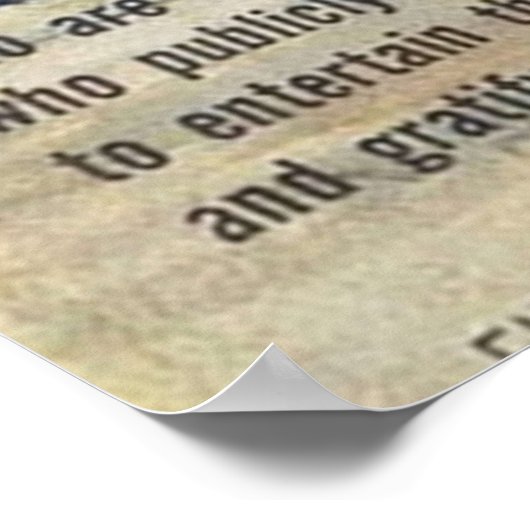 Lady Wrestler Poster (Hoek)