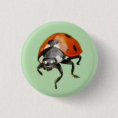 Ladybird Badge Ronde Button 3,2 Cm (Voorkant)