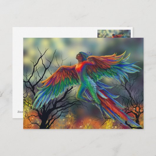 Ladybird Briefkaart (Voorkant / Achterkant)