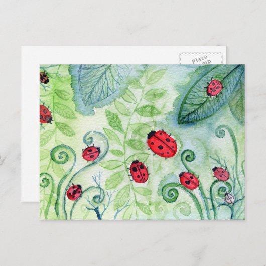 Ladybird Briefkaart (Voorkant / Achterkant)