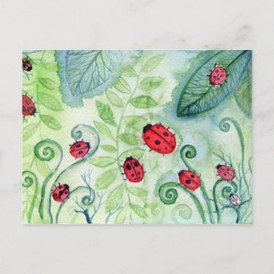 Ladybird Briefkaart