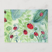 Ladybird Briefkaart (Voorkant)