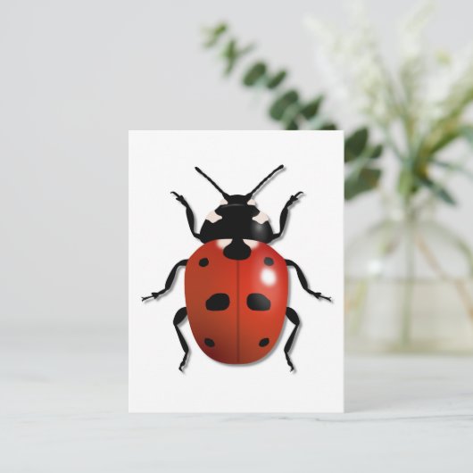 Ladybird Briefkaart (Staand voorkant)